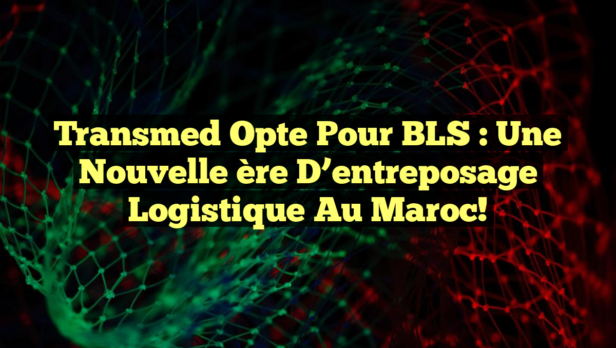 Transmed opte pour BLS : une nouvelle ère d&rsquo;entreposage logistique au Maroc!