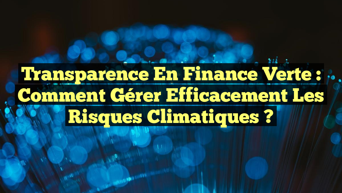 Transparence en Finance Verte : Comment Gérer Efficacement les Risques Climatiques ?