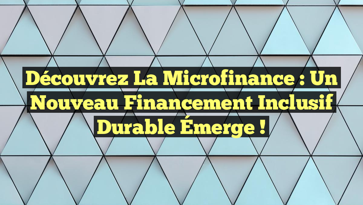 Découvrez la Microfinance : Un Nouveau Financement Inclusif Durable Émerge !