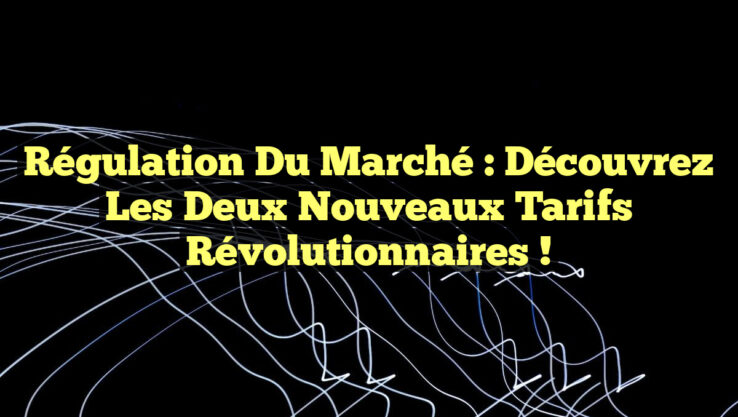 Régulation du Marché : Découvrez les Deux Nouveaux Tarifs Révolutionnaires !