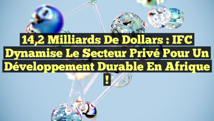 14,2 milliards de dollars : IFC dynamise le secteur privé pour un développement durable en Afrique !