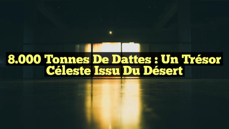 8 000 Tonnes de Dattes : Un Trésor Céleste Issu du Désert 8.000 Tonnes de Dattes : Un Trésor Céleste Issu du Désert