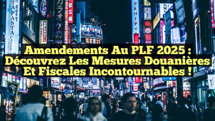 Amendements au PLF 2025 : Découvrez les mesures douanières et fiscales incontournables !