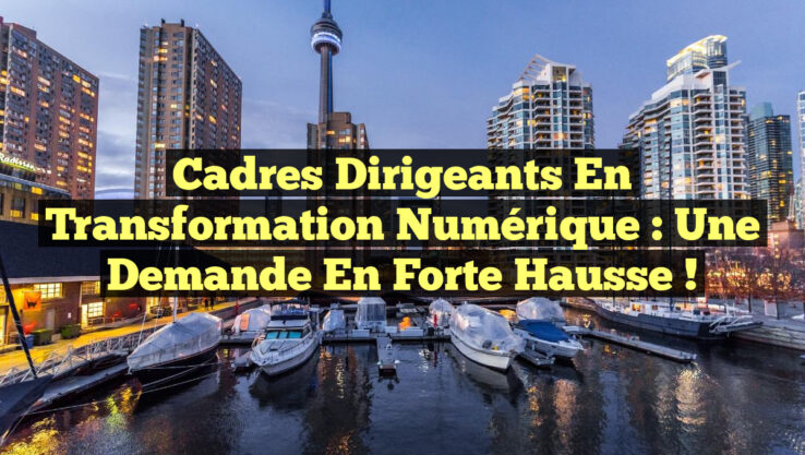 Cadres dirigeants en transformation numérique : Une demande en forte hausse !