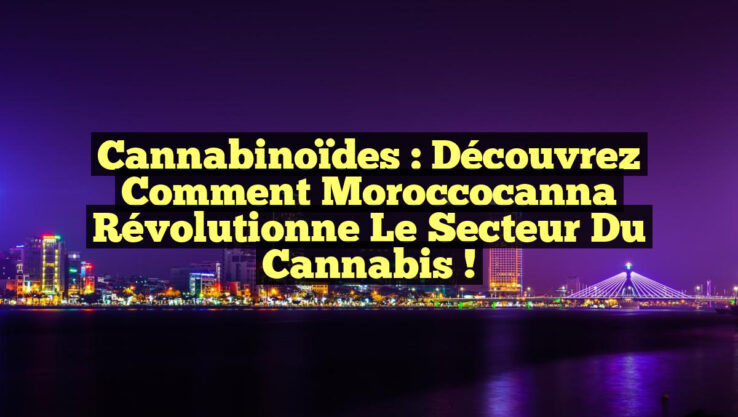 Cannabinoïdes : Découvrez comment Moroccocanna révolutionne le secteur du cannabis !