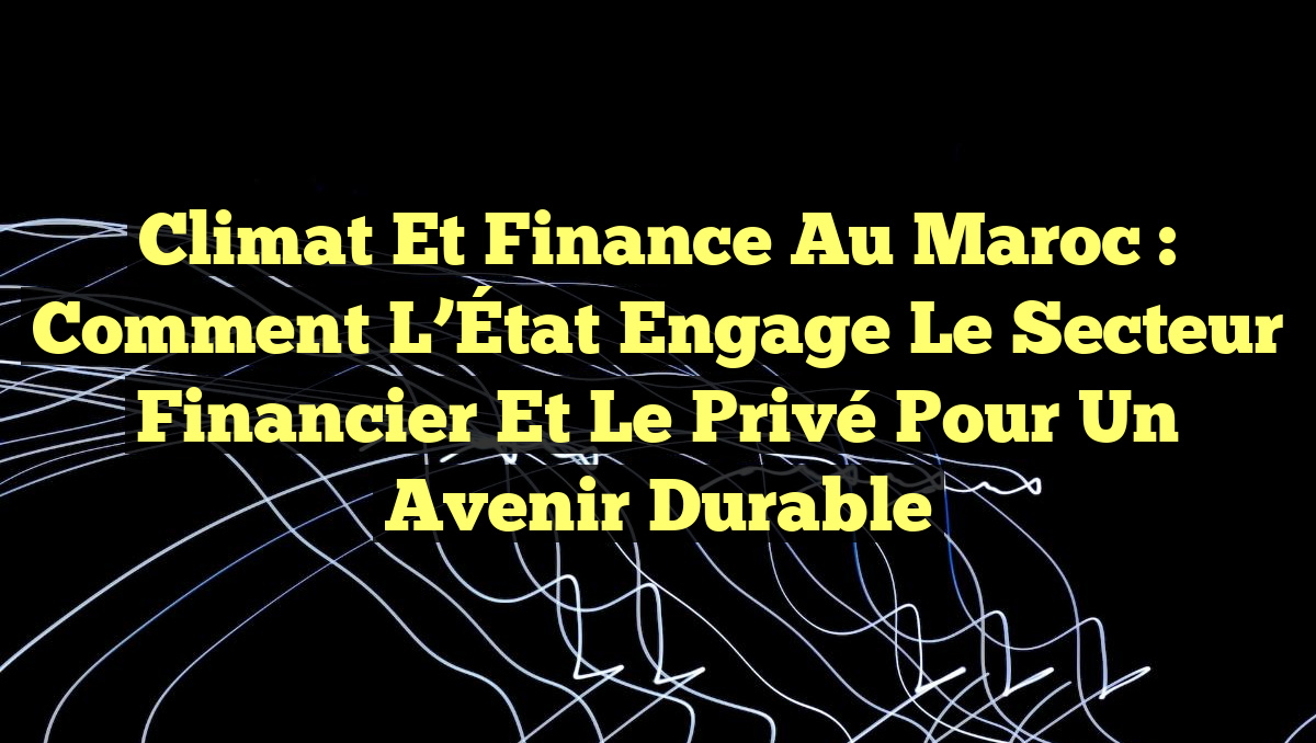 Climat et Finance au Maroc : Comment l&rsquo;État Engage le Secteur Financier et le Privé pour un Avenir Durable