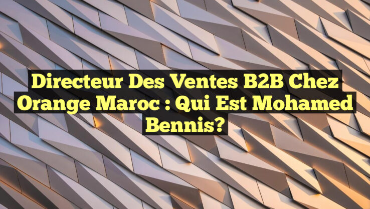 Directeur des Ventes B2B chez Orange Maroc : Qui est Mohamed Bennis?