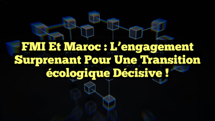 FMI et Maroc : L’engagement surprenant pour une transition écologique décisive !