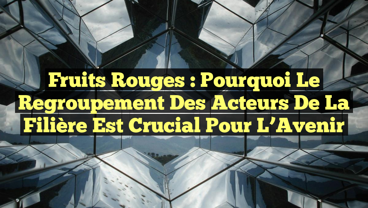 Fruits Rouges : Pourquoi le Regroupement des Acteurs de la Filière est Crucial pour l&rsquo;Avenir