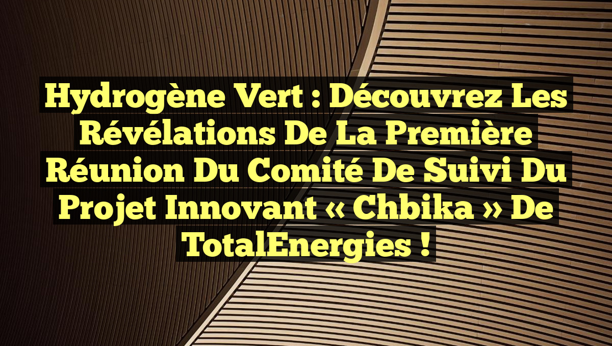 Hydrogène Vert : Découvrez les révélations de la première réunion du comité de suivi du projet innovant « Chbika » de TotalEnergies !