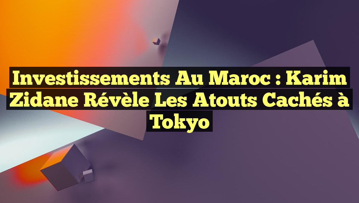 Investissements au Maroc : Karim Zidane révèle les atouts cachés à Tokyo