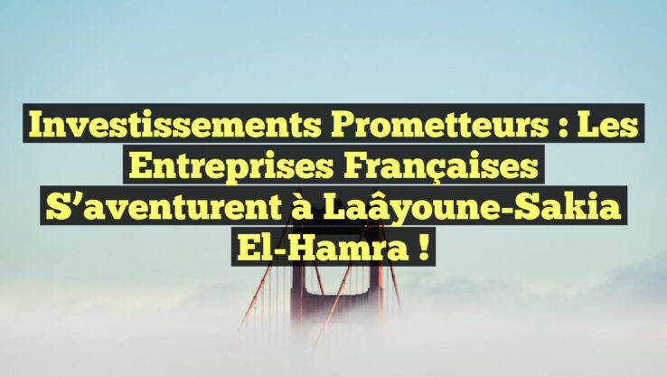 Investissements prometteurs : les entreprises françaises s’aventurent à Laâyoune-Sakia El-Hamra !