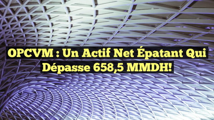 OPCVM : Un Actif Net Épatant Qui Dépasse 658,5 MMDH!