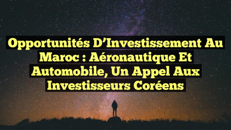 Opportunités d’Investissement au Maroc : Aéronautique et Automobile, un Appel aux Investisseurs Coréens