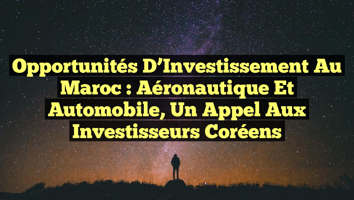 Opportunités d&rsquo;Investissement au Maroc : Aéronautique et Automobile, un Appel aux Investisseurs Coréens