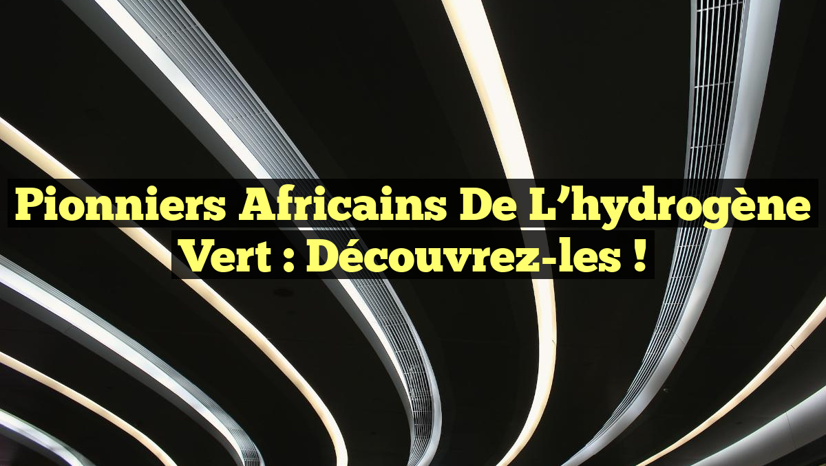 Pionniers africains de l&rsquo;hydrogène vert : découvrez-les !