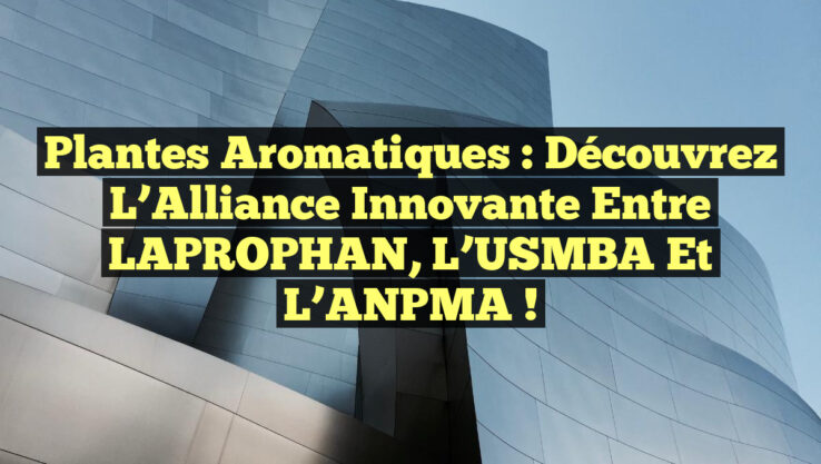 Plantes Aromatiques : Découvrez l’Alliance Innovante entre LAPROPHAN, l’USMBA et l’ANPMA !