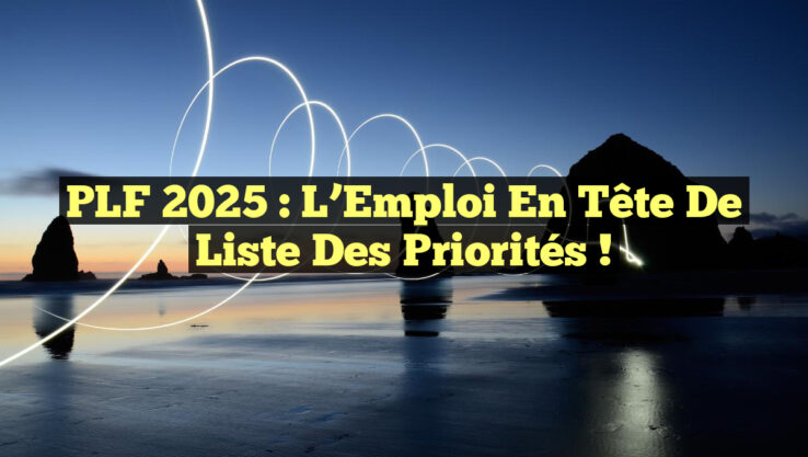 PLF 2025 : L’Emploi en Tête de Liste des Priorités !