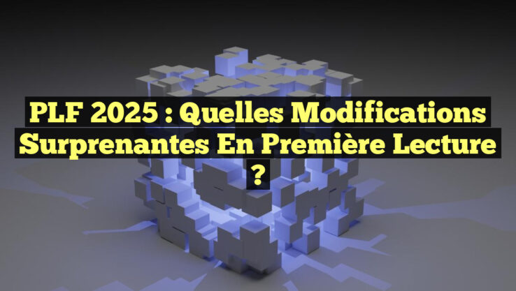 PLF 2025 : Quelles modifications surprenantes en première lecture ?