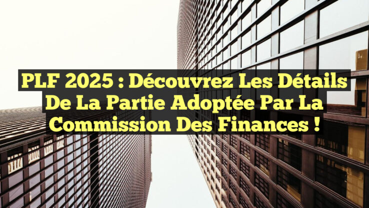 PLF 2025 : Découvrez les Détails de la Partie Adoptée par la Commission des Finances !