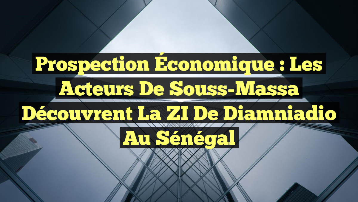 Prospection Économique : Les Acteurs de Souss-Massa Découvrent la ZI de Diamniadio au Sénégal