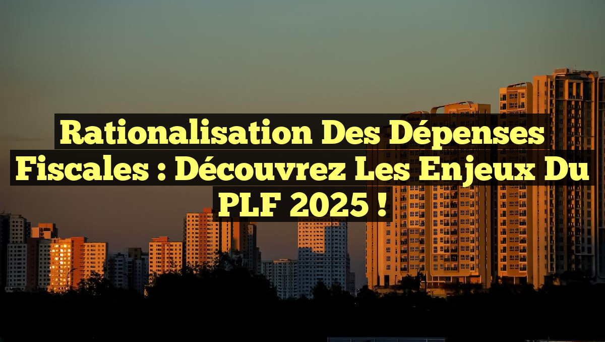 Rationalisation des Dépenses Fiscales : Découvrez les Enjeux du PLF 2025 !
