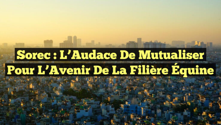 Sorec : L’Audace de Mutualiser pour l’Avenir de la Filière Équine