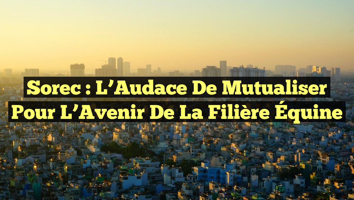 Sorec : L&rsquo;Audace de Mutualiser pour l&rsquo;Avenir de la Filière Équine