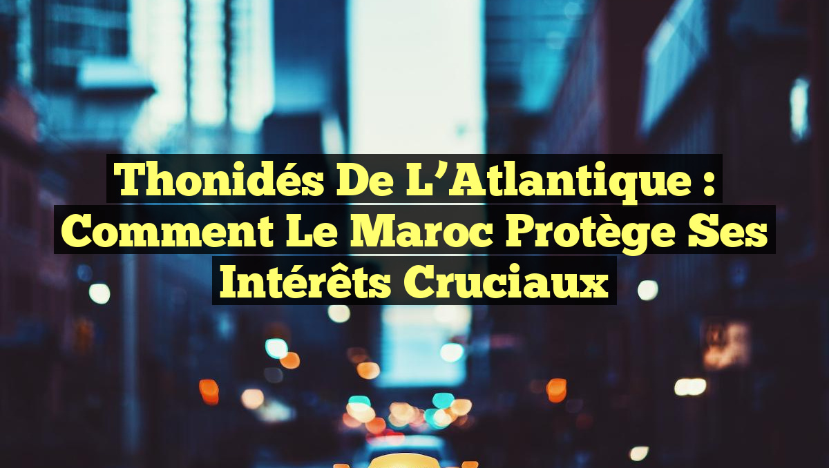 Thonidés de l&rsquo;Atlantique : Comment le Maroc protège ses intérêts cruciaux