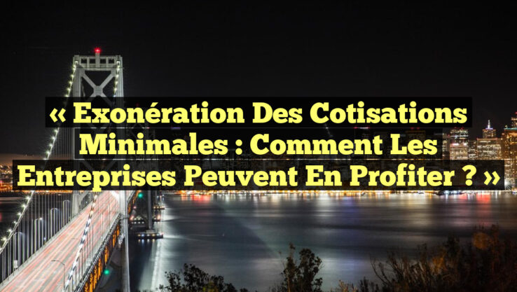 « Exonération des cotisations minimales : Comment les entreprises peuvent en profiter ? »