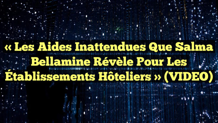 « Les Aides Inattendues que Salma Bellamine Révèle pour les Établissements Hôteliers » (VIDEO)