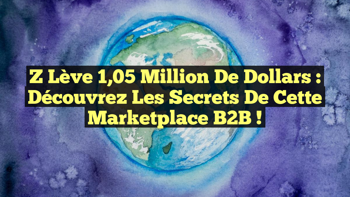 Z Lève 1,05 Million de Dollars : Découvrez les Secrets de cette Marketplace B2B !