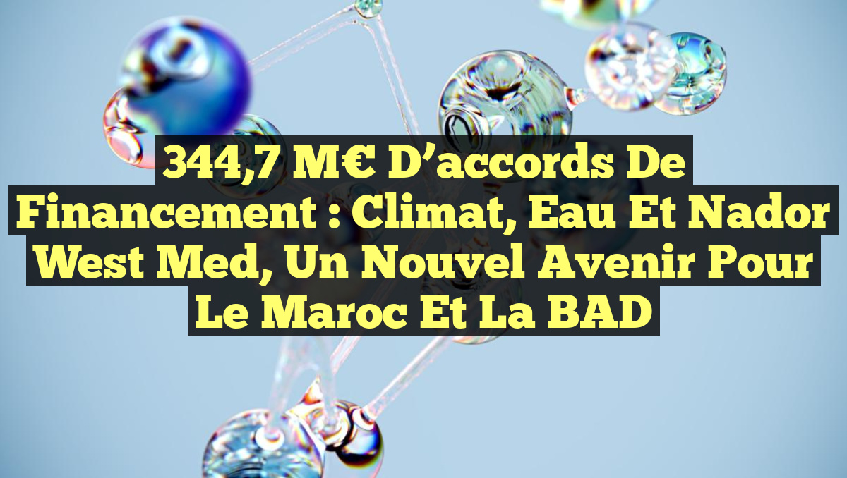 344,7 M€ d&rsquo;accords de financement : Climat, Eau et Nador West Med, un nouvel avenir pour le Maroc et la BAD