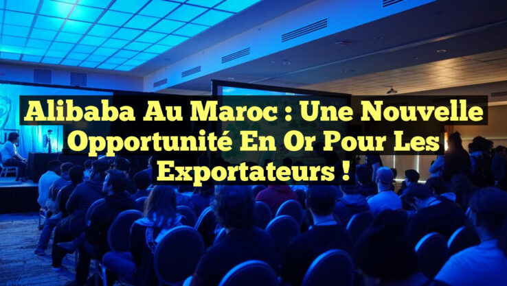 Alibaba au Maroc : Une Nouvelle Opportunité en Or pour les Exportateurs !