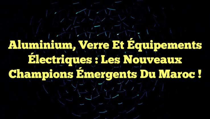 Aluminium, Verre et Équipements Électriques : Les Nouveaux Champions Émergents du Maroc !