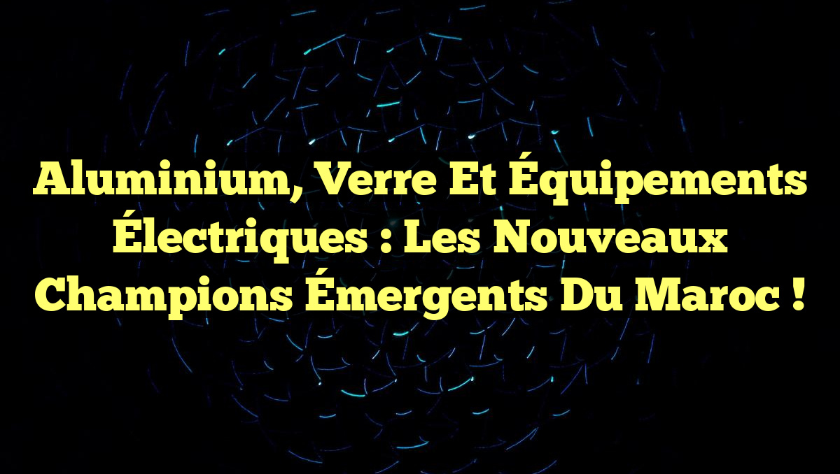 Aluminium, Verre et Équipements Électriques : Les Nouveaux Champions Émergents du Maroc !