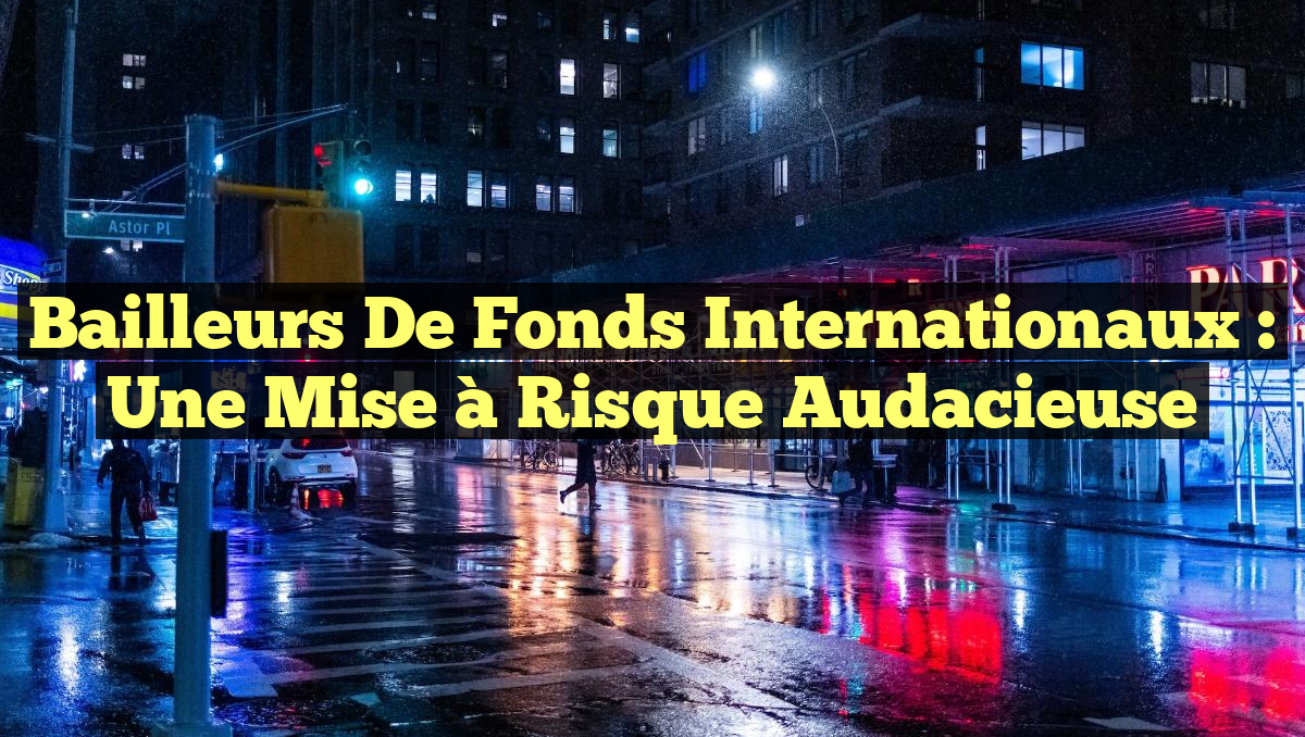 Bailleurs de fonds internationaux : Une mise à risque audacieuse