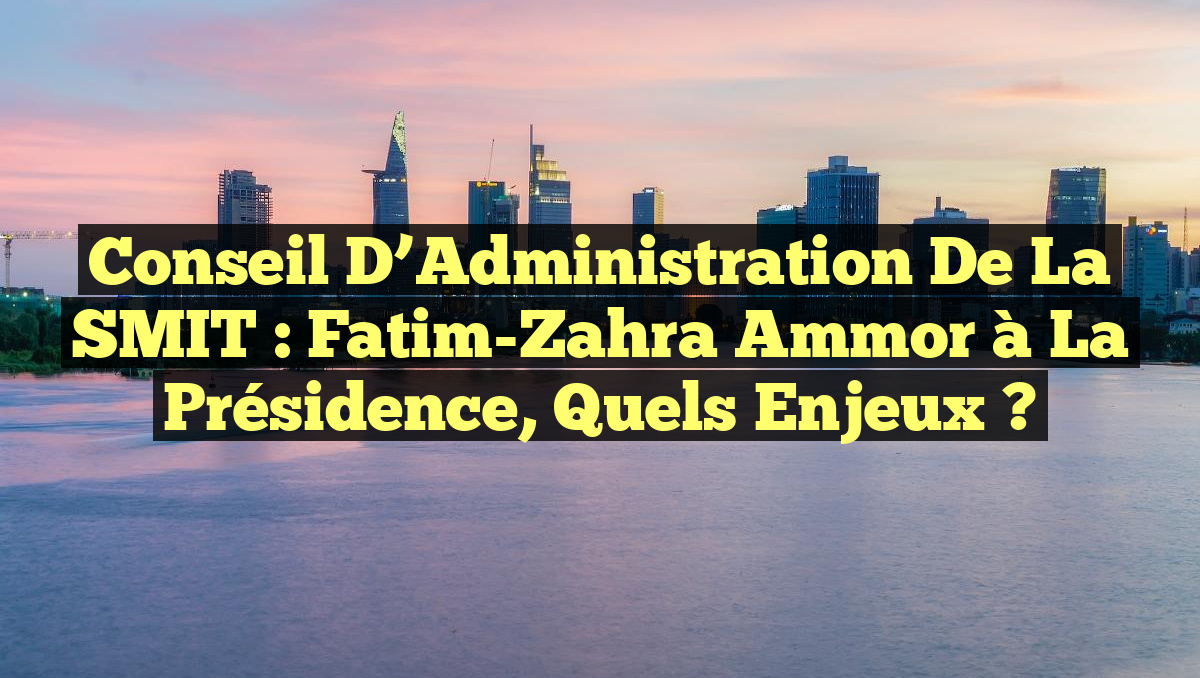 Conseil d’Administration de la SMIT : Fatim-Zahra Ammor à la Présidence, Quels Enjeux ?