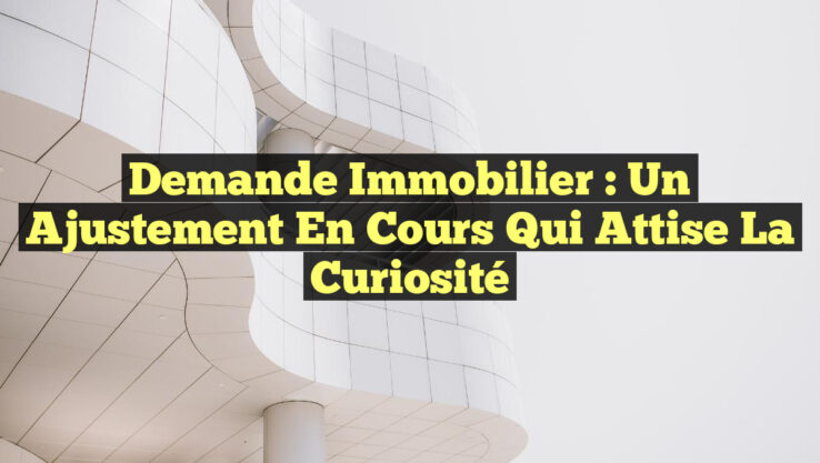 Demande Immobilier : un Ajustement en Cours qui Attise la Curiosité Demande Immobilier : un Ajustement en Cours qui Attise la Curiosité