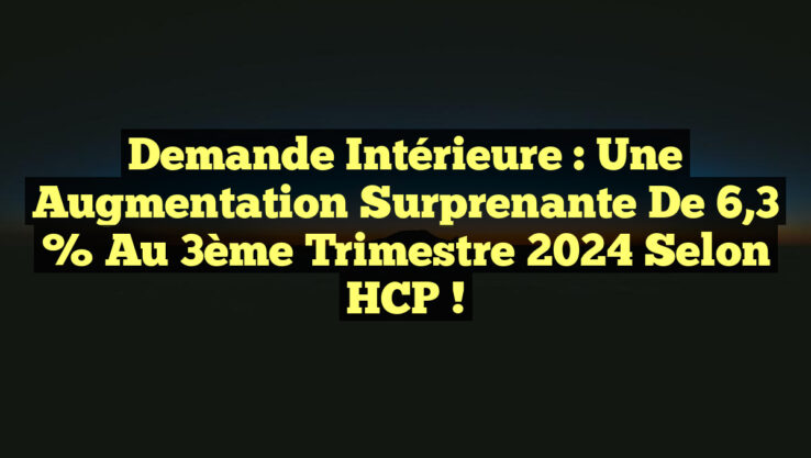 Demande Intérieure : Une Augmentation Surprenante de 6,3 % au 3ème Trimestre 2024 selon HCP ! Demande Intérieure : Une Augmentation Surprenante de 6,3 % au 3ème Trimestre 2024 selon HCP !