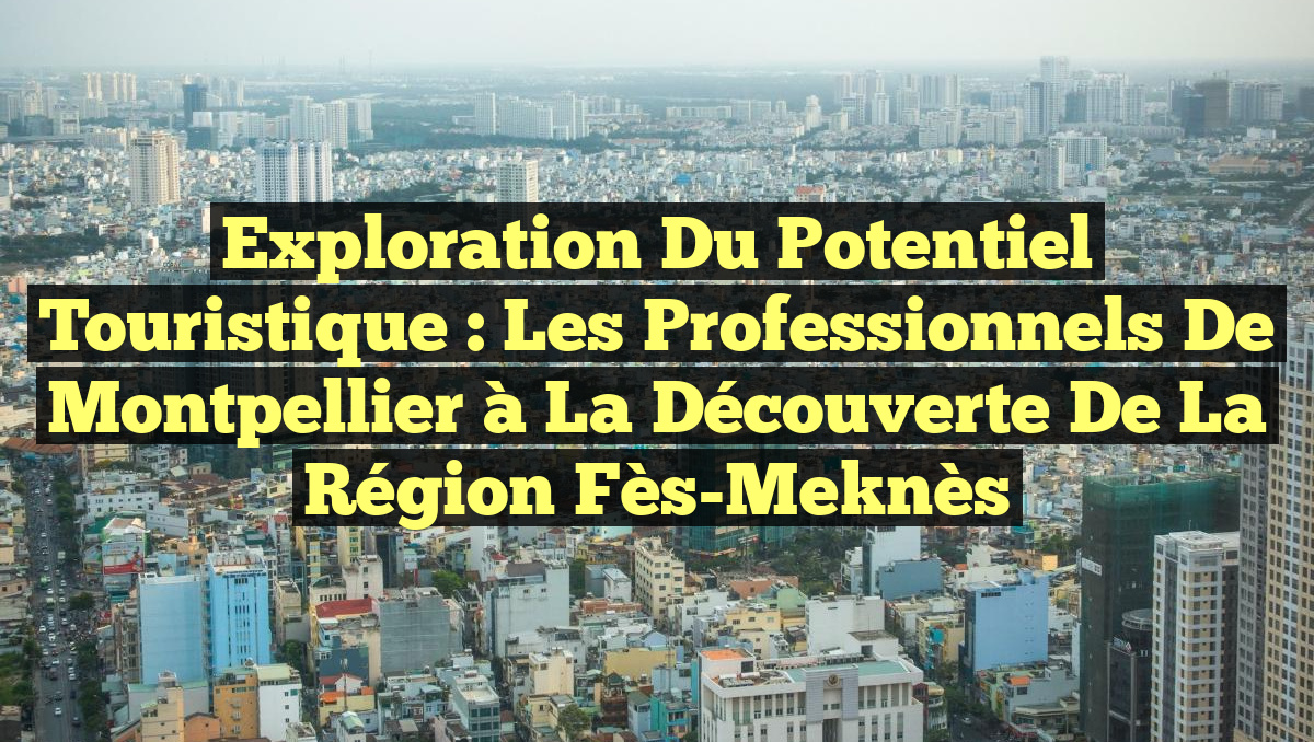 Exploration du Potentiel Touristique : Les Professionnels de Montpellier à la Découverte de la Région Fès-Meknès