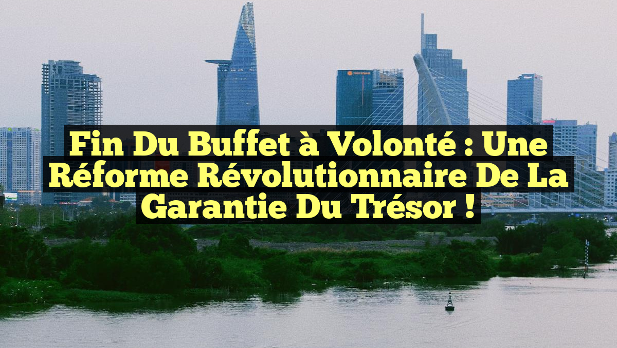 Fin du Buffet à Volonté : Une Réforme Révolutionnaire de la Garantie du Trésor !