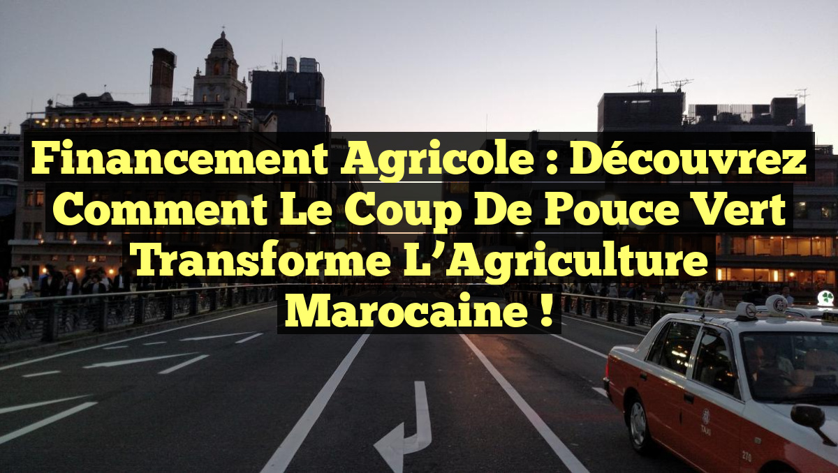 Financement Agricole : Découvrez comment le Coup de Pouce Vert Transforme l&rsquo;Agriculture Marocaine !