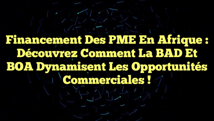Financement des PME en Afrique : découvrez comment la BAD et BOA dynamisent les opportunités commerciales !