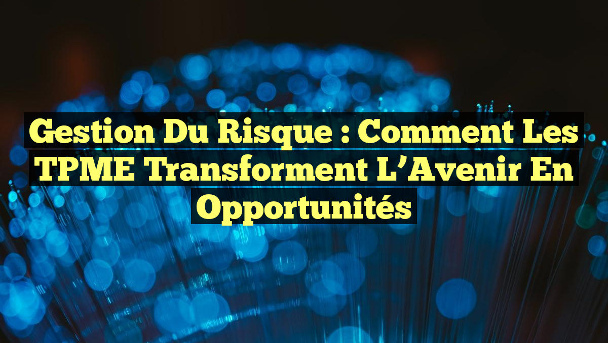 Gestion du Risque : Comment les TPME Transforment l&rsquo;Avenir en Opportunités