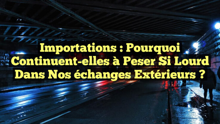 Importations : Pourquoi continuent-elles à peser si lourd dans nos échanges extérieurs ?