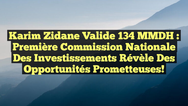 Karim Zidane valide 134 MMDH : Première Commission Nationale des Investissements révèle des opportunités prometteuses!
