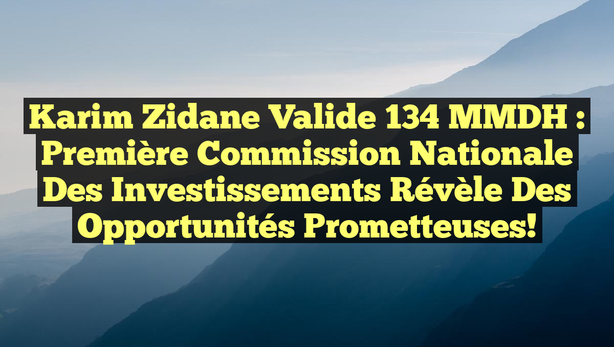 Karim Zidane valide 134 MMDH : Première Commission Nationale des Investissements révèle des opportunités prometteuses!