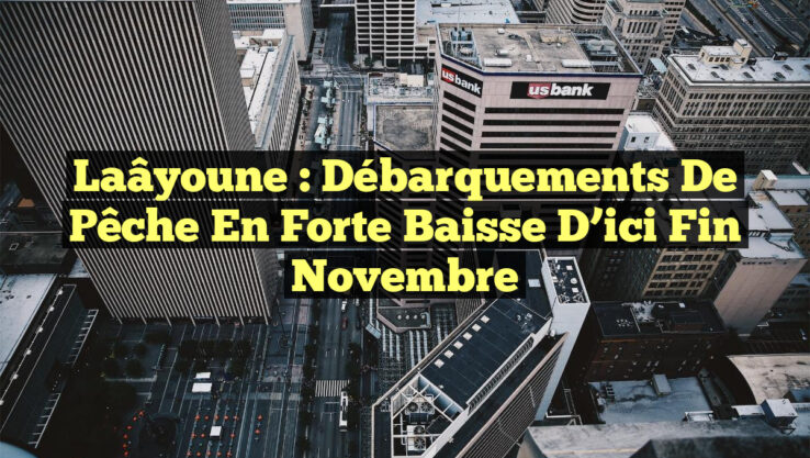 Laâyoune : Débarquements de Pêche en Forte Baisse d’ici Fin Novembre