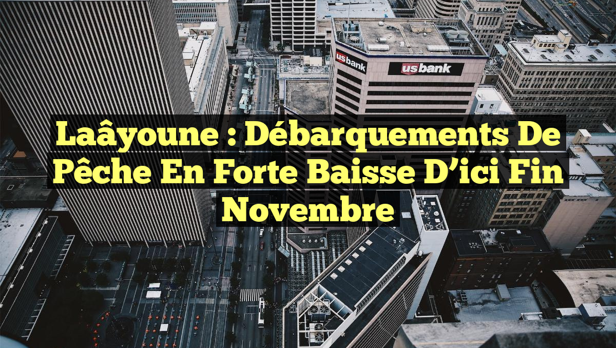 Laâyoune : Débarquements de Pêche en Forte Baisse d’ici Fin Novembre